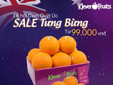 Đồng hồ để bàn phong thủy: Chọn màu sắc – kiểu dáng theo mệnh